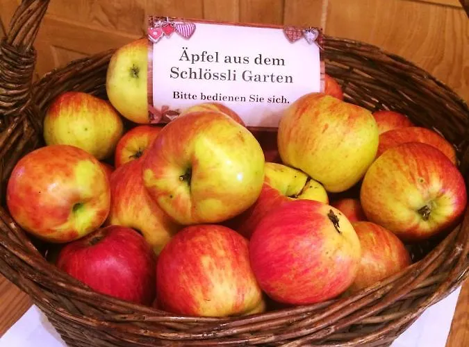 Scesaplana 3* Seewis im Prätigau