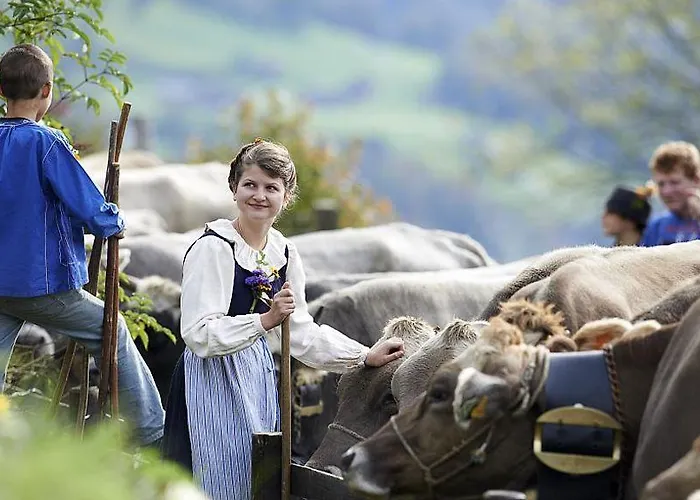 Otel Scesaplana Seewis im Prätigau