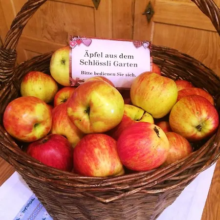 Scesaplana 3* Seewis im Prätigau